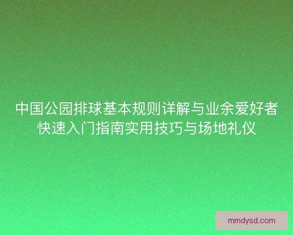 中国公园排球基本规则详解与业余爱好者快速入门指南实用技巧与场地礼仪