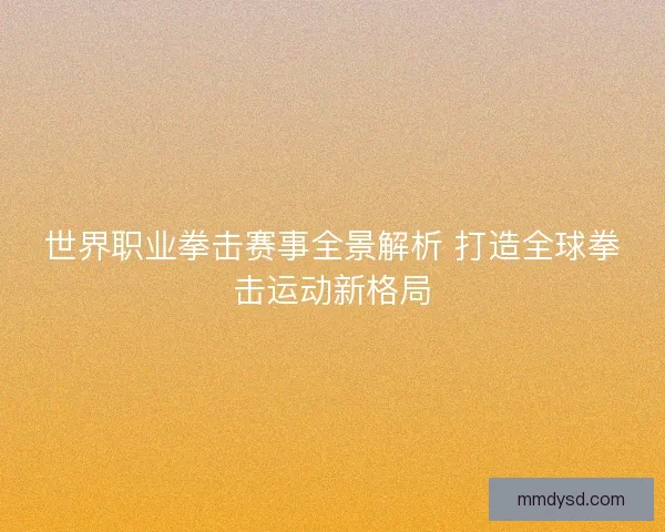 世界职业拳击赛事全景解析 打造全球拳击运动新格局